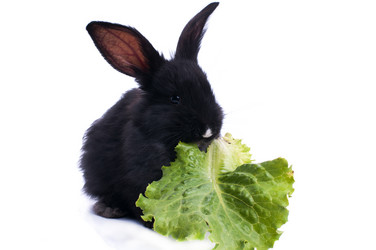 Similar image 5534423