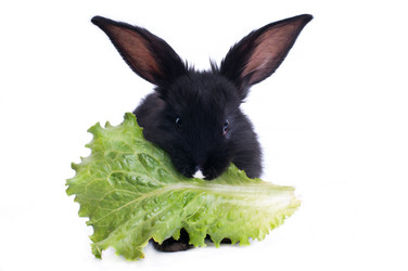 Similar image 5534424