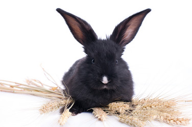 Similar image 5534425