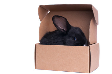 Similar image 5534427