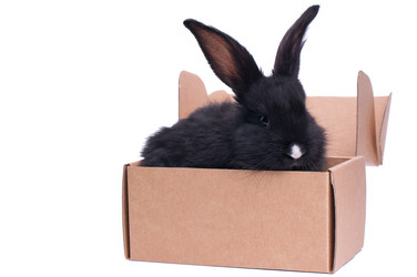 Similar image 5534428