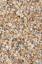 Similar image 5534431