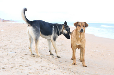 Similar image 5534453