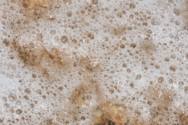 Similar image 5534466