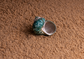 Similar image 5534480