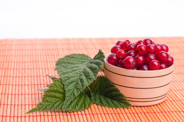 Similar image 5534484