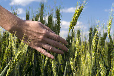 Similar image 5534491