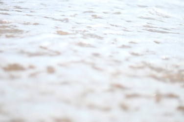 Similar image 5534506