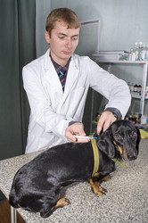 Similar image 5534580