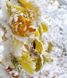 Similar image 5534621