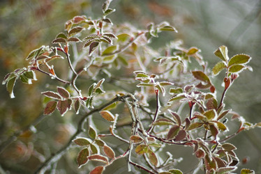 Similar image 5534630