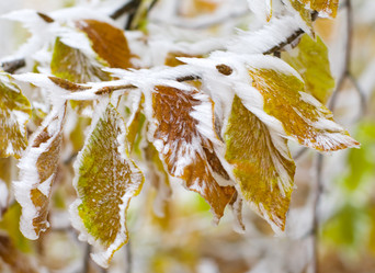 Similar image 5534642