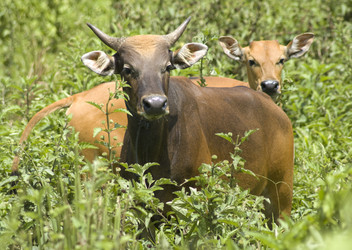 Similar image 5534693