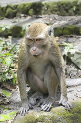 Similar image 5534697