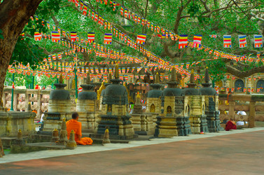 Similar image 5534719