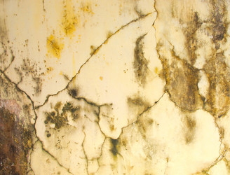 Similar image 5534742