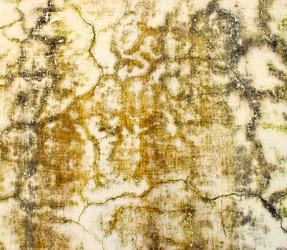 Similar image 5534743