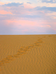 Similar image 5534745