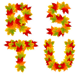 Similar image 5534777