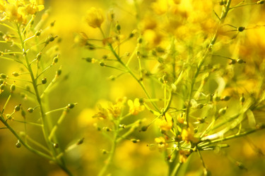 Similar image 5534821