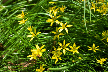 Similar image 5534822