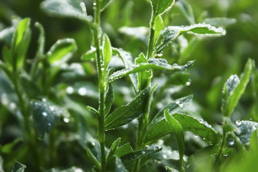 Similar image 5534823