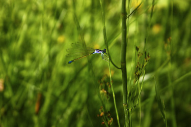 Similar image 5534825