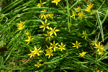 Similar image 5534826