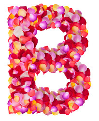 Similar image 5534849