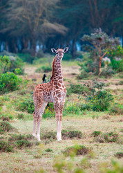 Similar image 5534894