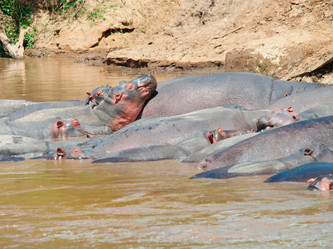 Similar image 5534896