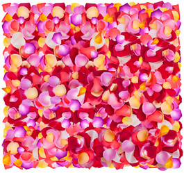 Similar image 5534908