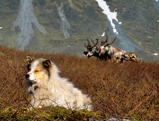 Similar image 5534911