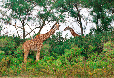 Similar image 5534919