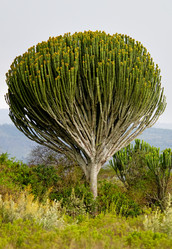 Similar image 5534933