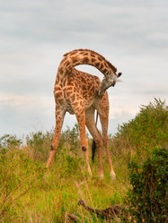 Similar image 5534970