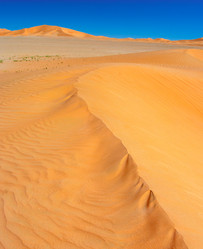 Similar image 5534972