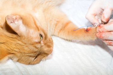 Similar image 5534998