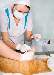 Similar image 5534999