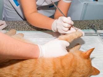 Similar image 5535000