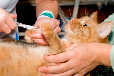 Similar image 5535001