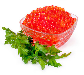 Similar image 5535005