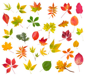 Similar image 5535015