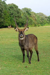 Similar image 5535017