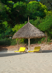 Similar image 5535019