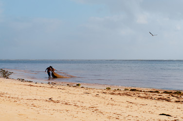 Similar image 5535020