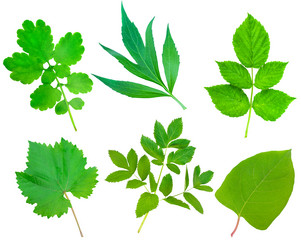 Similar image 5535026