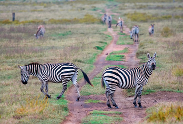 Similar image 5535034