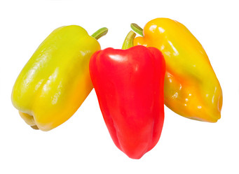 Similar image 5535043