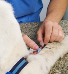 Similar image 5535045